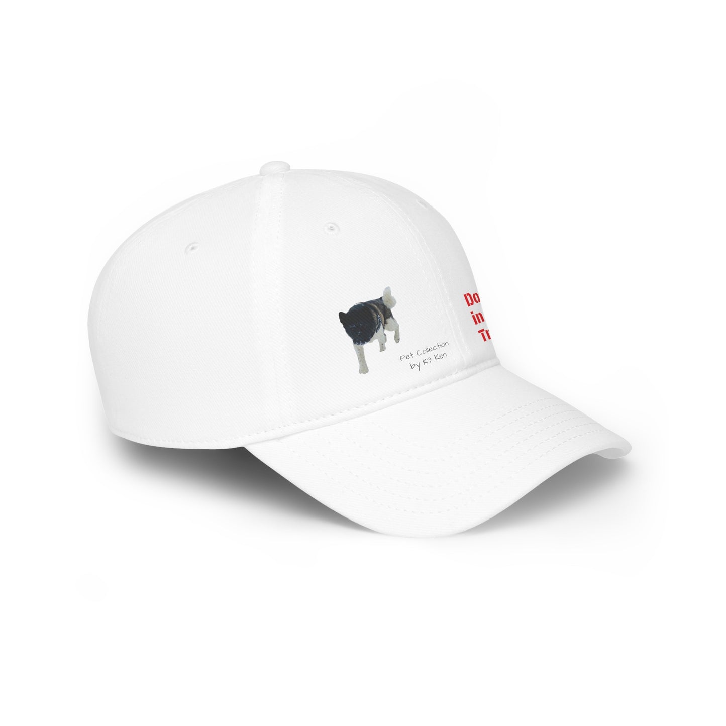 Low Profile Baseball Cap